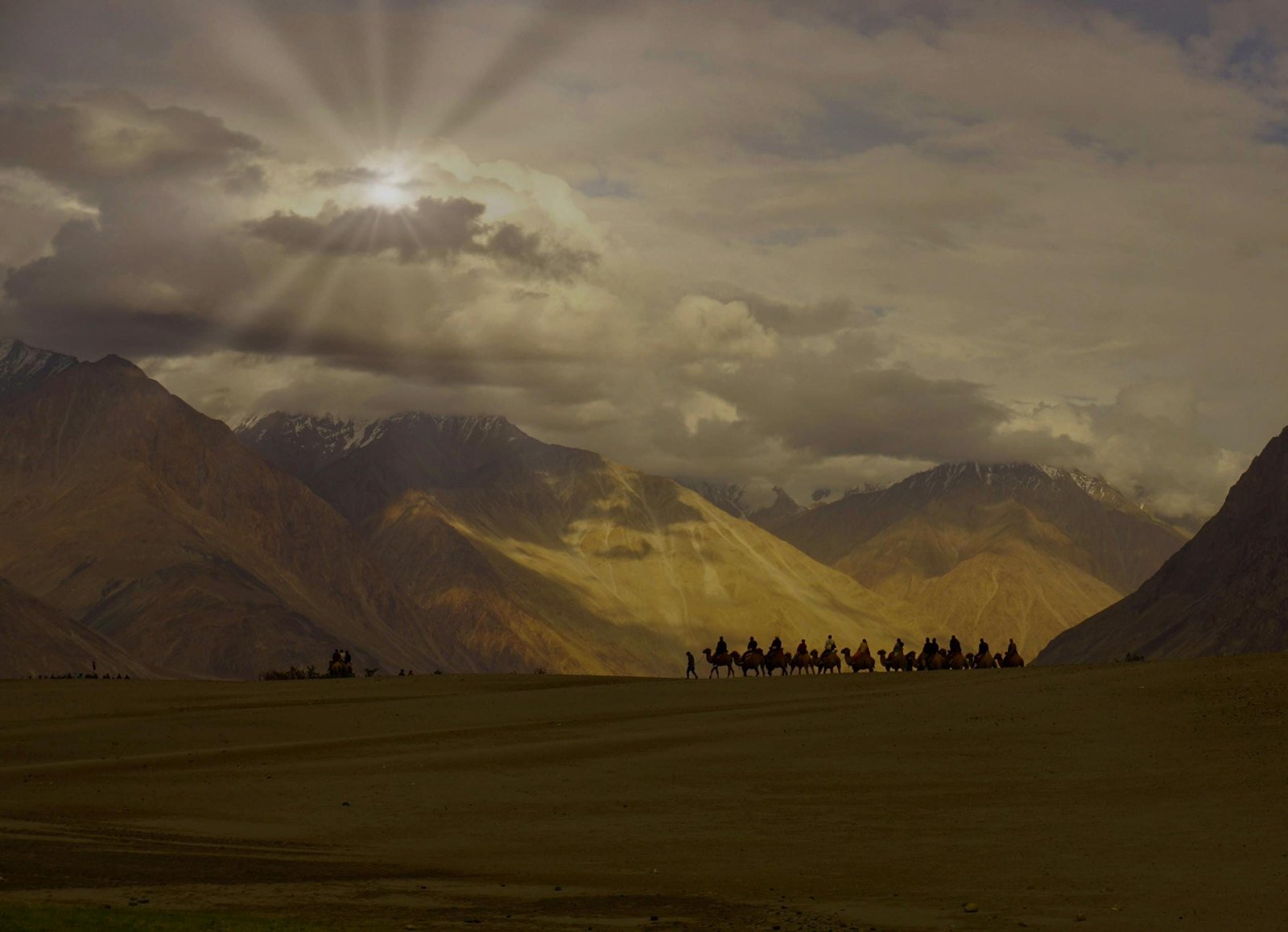 Camel caravan traversing Ladakh's striking barren landscape with dramatic sunbeams.