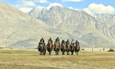 Experience the unique adventure of camel riding through the stunning valleys of Leh, surrounded by majestic mountains.