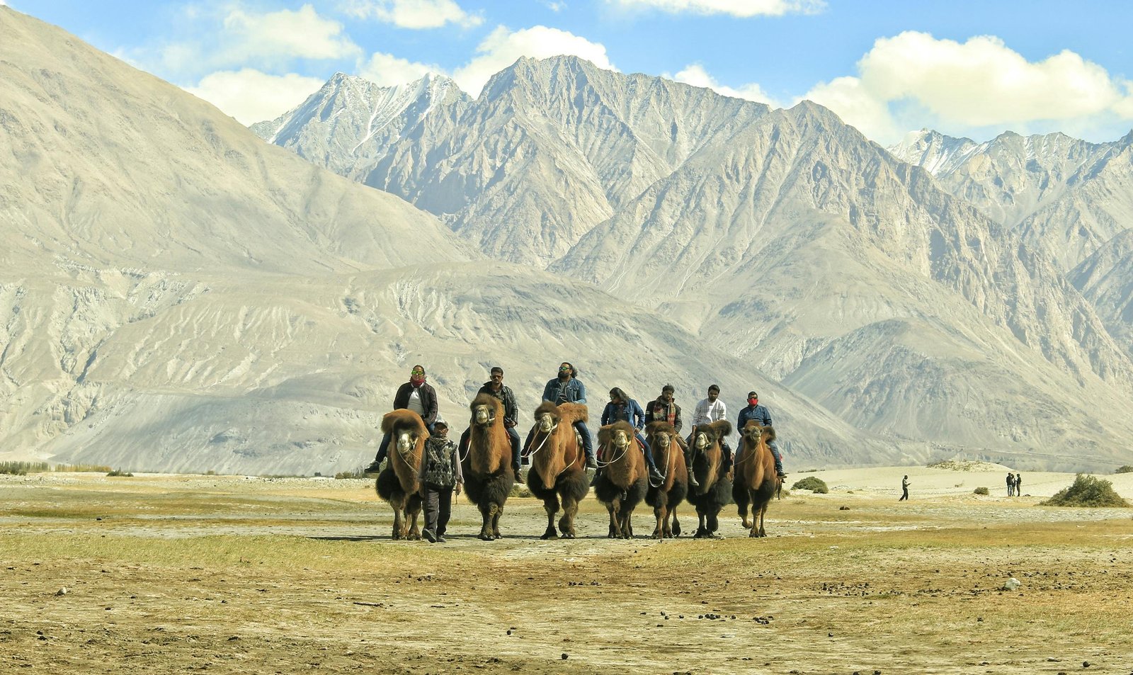 Experience the unique adventure of camel riding through the stunning valleys of Leh, surrounded by majestic mountains.